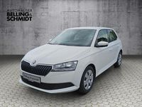 Gebraucht Skoda Fabia Cool Plus 60 PS (44 kW) 2021 Candyweiß Kleinwagen