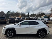 Gebraucht Lexus UX 250h 184 PS (135 kW) 2024 Weiß SUV