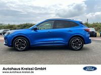 Gebraucht Ford Kuga ST-Line X 152 PS (111 kW) 2024 Dynamicblau metallic SUV