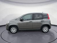 Gebraucht Fiat Panda 69 PS (50 kW) 2023 Grau Kleinwagen
