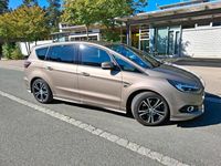 Gebraucht Ford S-MAX ST-Line 165 PS (121 kW) 2019 Gold Van / Kleinbus