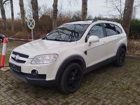 Gebraucht Chevrolet Captiva LT 150 PS (110 kW) 2008 Weiß SUV