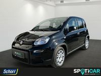 Gebraucht Fiat Panda 69 PS (50 kW) 2024 Schwarz Kleinwagen