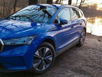 Gebraucht Skoda Enyaq iV 131 kW (179 PS) 2023 Blau SUV