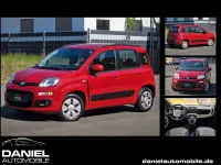 Gebraucht Fiat Panda Lounge 69 PS (50 kW) 2016 Rot Kleinwagen