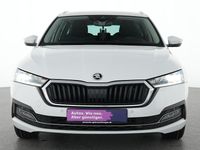 Gebraucht Skoda Octavia Style 116 PS (85 kW) 2021 Moon weiss Limousine