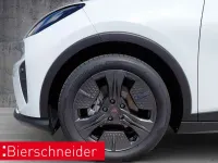 Neu Cupra Raval Endurance 155 kW (211 PS) 2026 Grau Kleinwagen