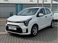 Neu Kia Picanto 63 PS (46 kW) 2025 Weiß Kleinwagen