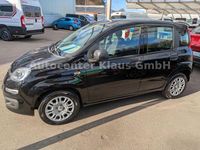 Neu Fiat Panda 71 PS (52 kW) 2025 Schwarz Limousine