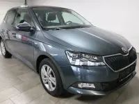 Gebraucht Skoda Fabia Ambition 110 PS (80 kW) 2020 Grau Kleinwagen
