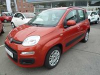 Gebraucht Fiat Panda Lounge 69 PS (50 kW) 2012 Rot metallic Kleinwagen