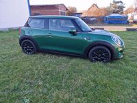 Gebraucht Mini ONE 102 PS (75 kW) 2019 Grün Kleinwagen