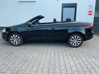 gebraucht VW Eos Panorama Dach