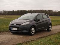 Gebraucht Ford Fiesta Trend 82 PS (60 kW) 2012 Grau Kleinwagen