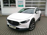 Gebraucht Mazda CX-30 Selection 150 PS (110 kW) 2023 Weiss SUV
