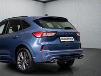 Gebraucht Ford Kuga ST-Line 150 PS (110 kW) 2023 Blau SUV