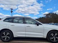 Gebraucht Volvo XC60 R-Design 190 PS (139 kW) 2019 Weiß SUV