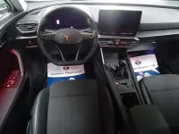 Gebraucht Cupra Formentor 150 PS (110 kW) 2024 Weiß SUV