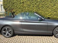 Gebraucht BMW 230 Luxury Line 252 PS (185 kW) 2018 Grau Cabrio
