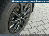 Neu Mazda 2 254 PS (186 kW) 2026 Kleinwagen