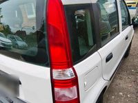Gebraucht Fiat Panda 54 PS (39 kW) 2009 Weiß Kleinwagen