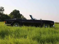Gebraucht Triumph TR6 150 PS (110 kW) 1973 Rot Cabrio