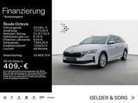 Gebraucht Skoda Octavia Selection 150 PS (110 kW) 2025 Moonweiss metallic Kombi