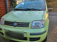 Gebraucht Fiat Panda 60 PS (44 kW) 2003 Grün Kleinwagen