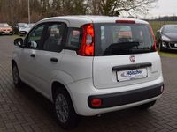 Gebraucht Fiat Panda Urban 69 PS (50 kW) 2020 Weiß Limousine