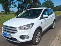 Gebraucht Ford Kuga Cool & Connect 121 PS (88 kW) 2019 Weiß SUV