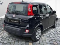 Gebraucht Fiat Panda 69 PS (50 kW) 2024 Schwarz Kleinwagen