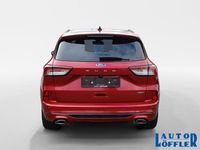 Gebraucht Ford Kuga ST-Line X 152 PS (111 kW) 2022 Rot SUV