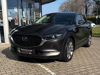 Gebraucht Mazda CX-30 Selection 150 PS (110 kW) 2022 Machine grey SUV