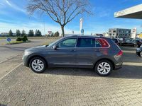Gebraucht VW Tiguan Move 150 PS (110 kW) 2023 Delfingrau SUV