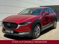 Gebraucht Mazda CX-30 Selection 150 PS (110 kW) 2022 Rot SUV