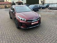 Gebraucht Kia XCeed 150 PS (110 kW) 2025 (ard) magmarot met. SUV