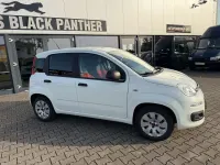 Gebraucht Fiat Panda Pop 69 PS (50 kW) 2016 Weiß Kleinwagen