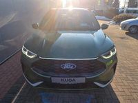 Gebraucht Ford Kuga ST-Line X 152 PS (111 kW) 2024 Grün SUV