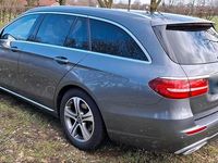 Gebraucht Mercedes E220 194 PS (142 kW) 2019 Grau Kombi