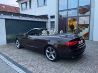 gebraucht Audi A5 Cabriolet 3.0 TDI (DPF) S tronic quattro -