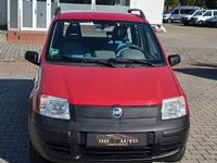 Gebraucht Fiat Panda Active 54 PS (39 kW) 2004 Kleinwagen