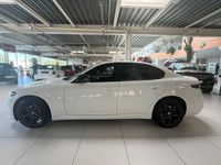 Neu Alfa Romeo Giulia 209 PS (153 kW) 2025 Weiß Limousine