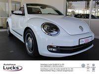 Gebraucht VW Beetle Cabriolet Cup 105 PS (77 kW) 2015 Weiß Cabrio