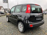 gebraucht Fiat Panda 1,2L 69PS 8-fach 37.000KM MyStyle