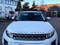 Gebraucht Land Rover Range Rover evoque 190 PS (139 kW) 2014 Weiß SUV