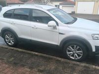 Gebraucht Chevrolet Captiva 184 PS (135 kW) 2014 Weiß SUV