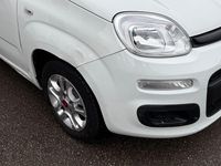 Gebraucht Fiat Panda Lounge 69 PS (50 kW) 2018 Weiß Kleinwagen