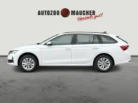 Neu Skoda Octavia Selection 150 PS (110 kW) 2026 Candyweiss Kombi