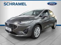 Gebraucht Ford Fiesta Titanium X 125 PS (91 kW) 2023 Grau Kleinwagen