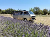 Gebraucht VW Multivan 90 PS (66 kW) 1985 Gold Van / Kleinbus